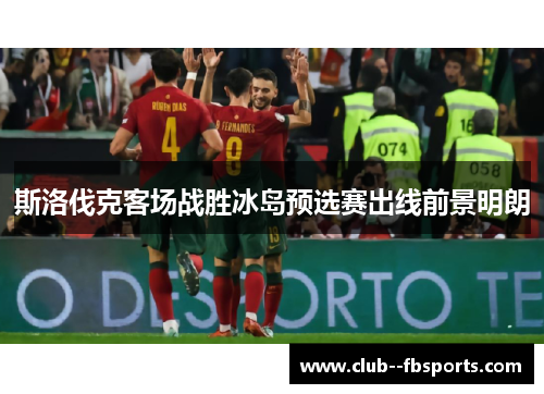 斯洛伐克客场战胜冰岛预选赛出线前景明朗